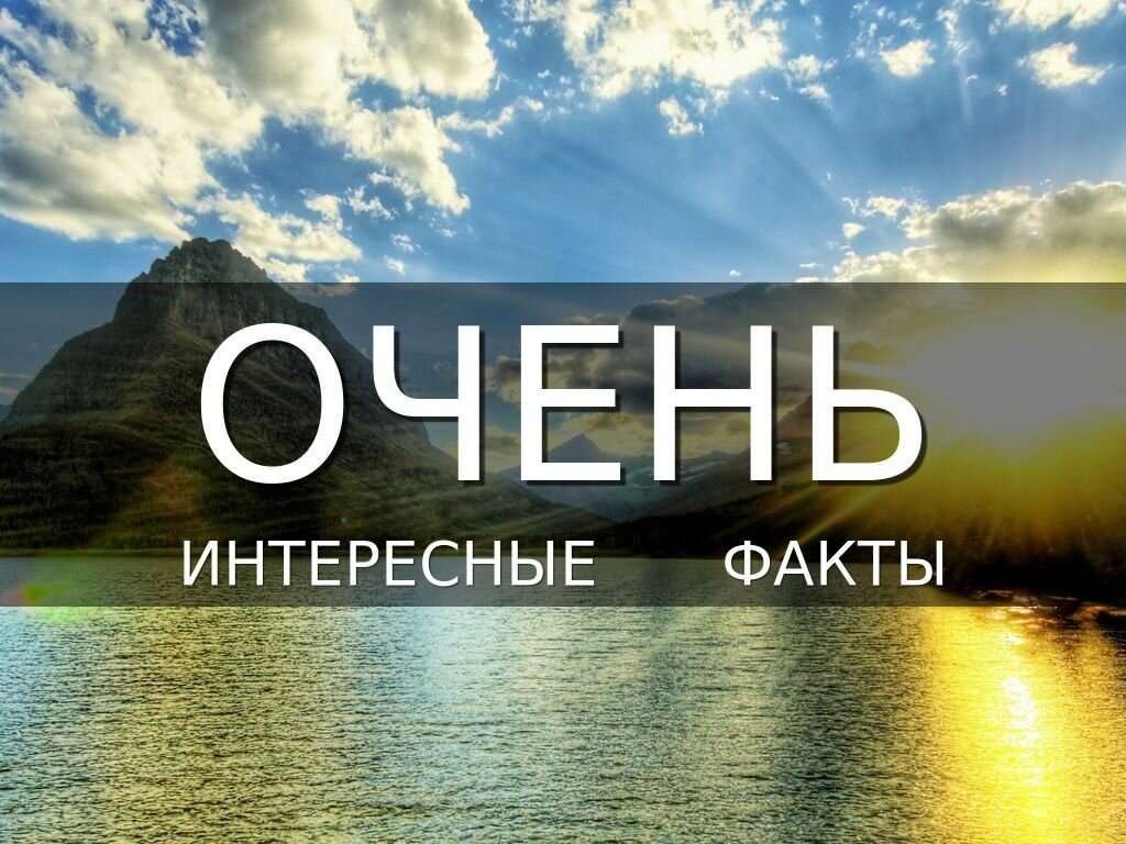 Интересные факты о человеке